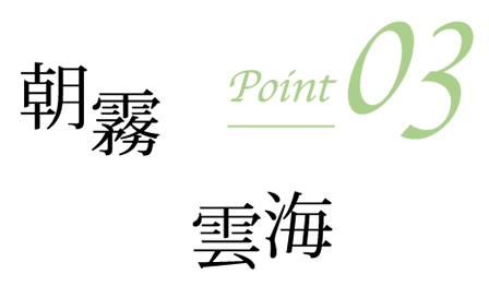Point 03 朝霧 雲海