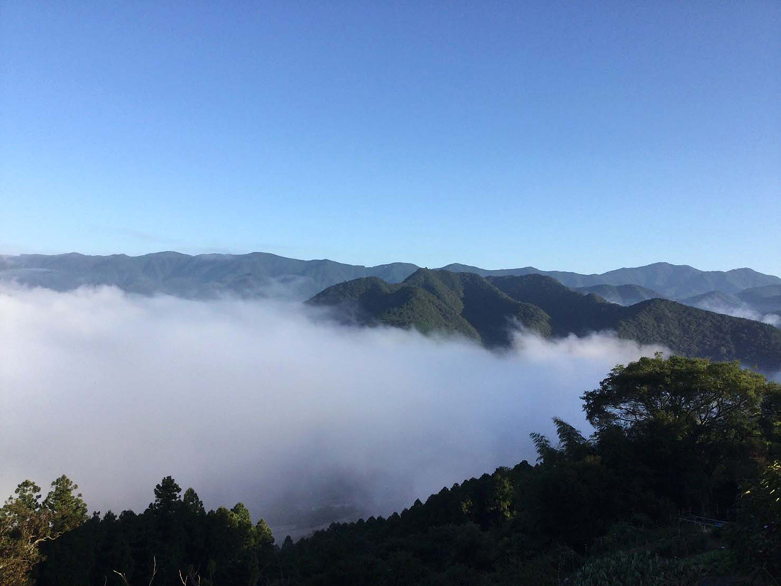 朝霧 雲海