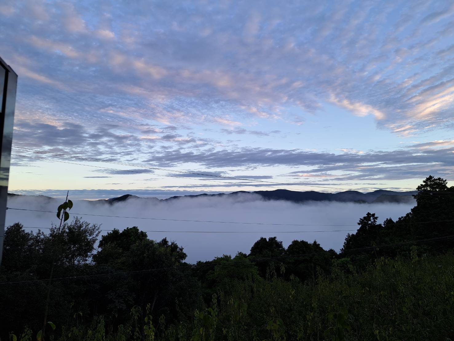 朝霧 雲海